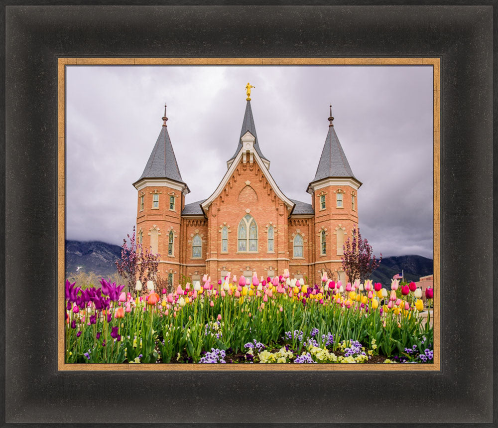 Provo City Center Temple - Springtime Tulips