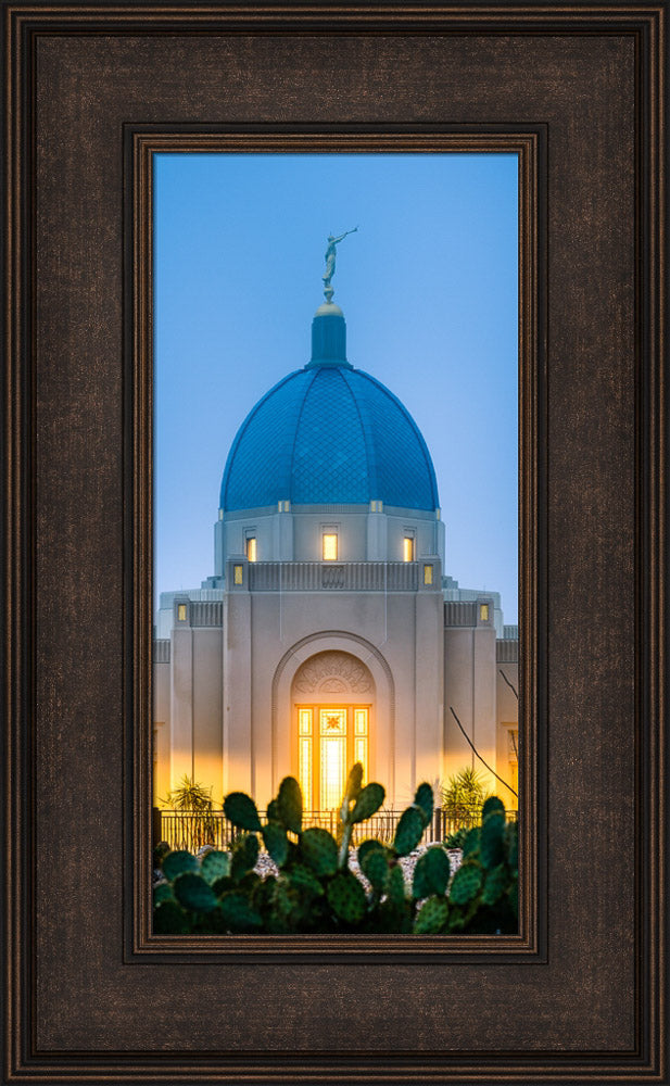 Tucson Temple - Cactus Twilight