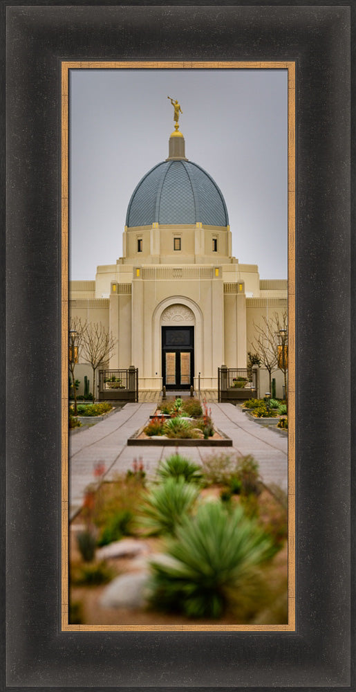 Tucson Temple - Vertical Panorama