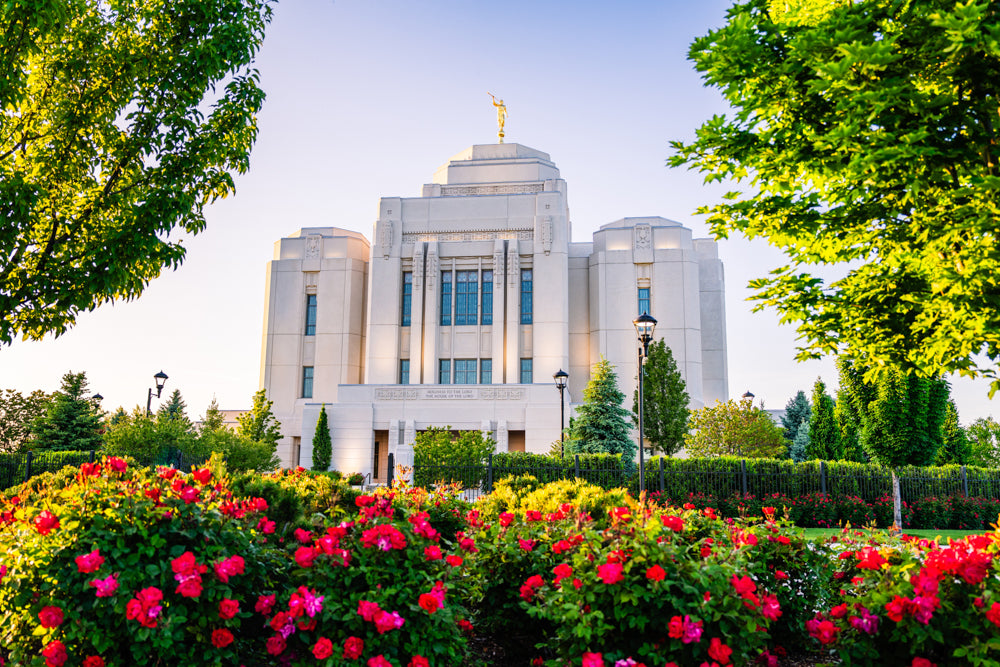 Meridian Temple - Flowers