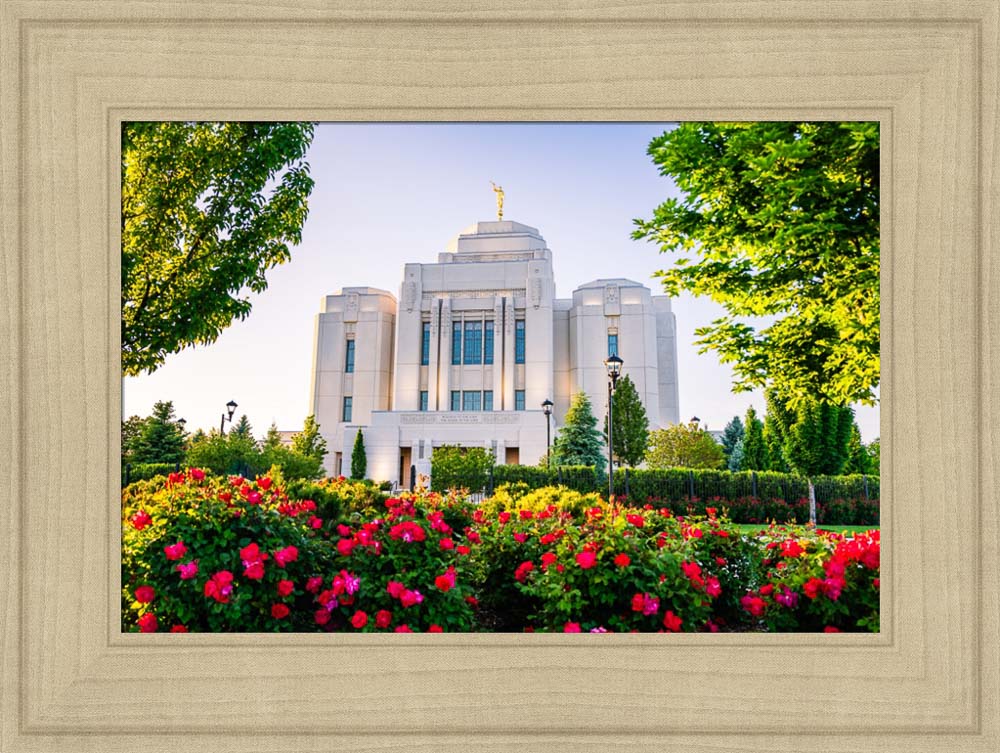 Meridian Temple - Flowers