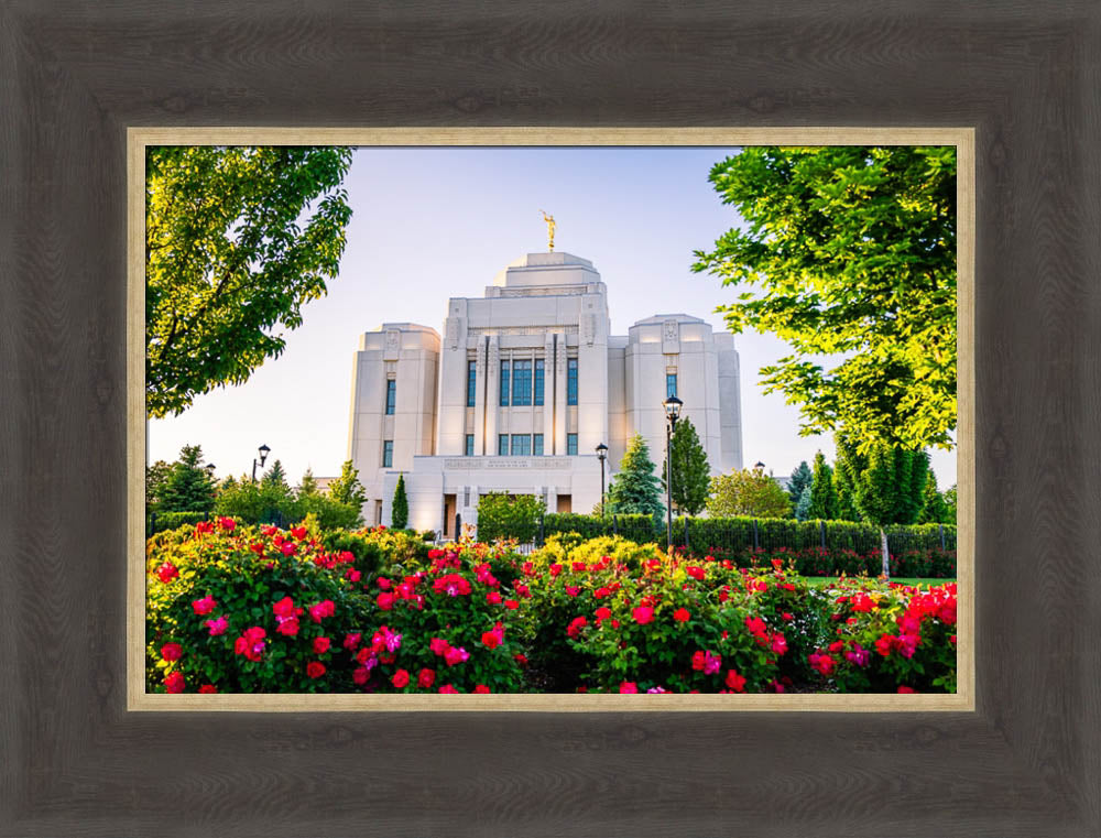 Meridian Temple - Flowers