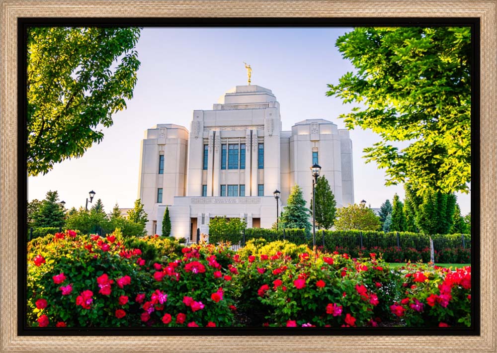 Meridian Temple - Flowers