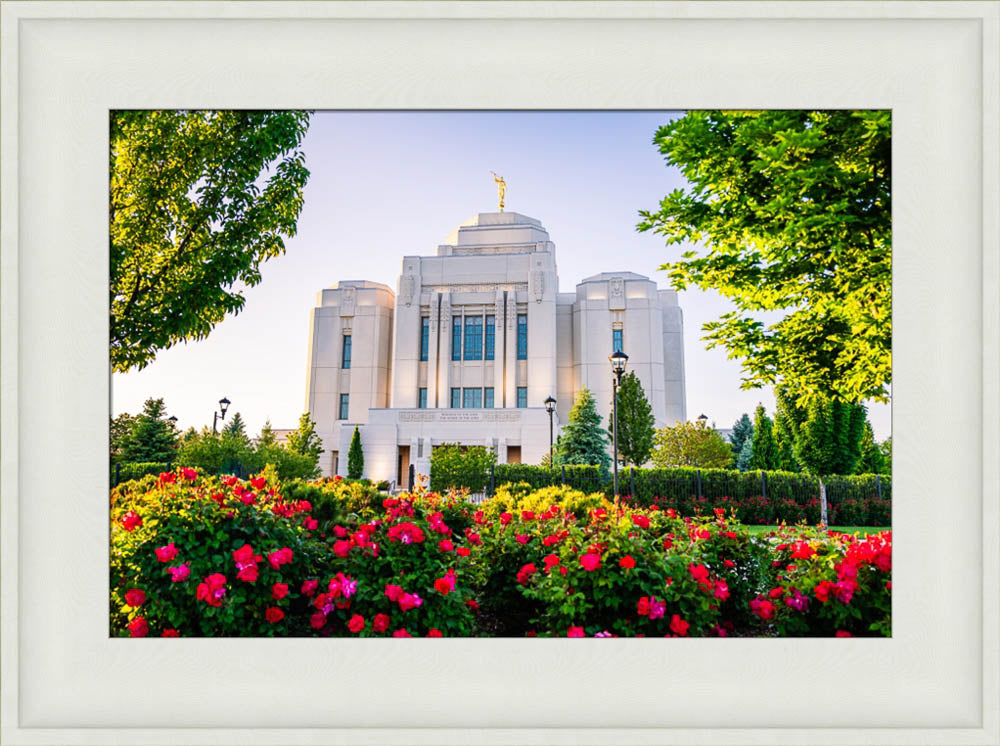Meridian Temple - Flowers