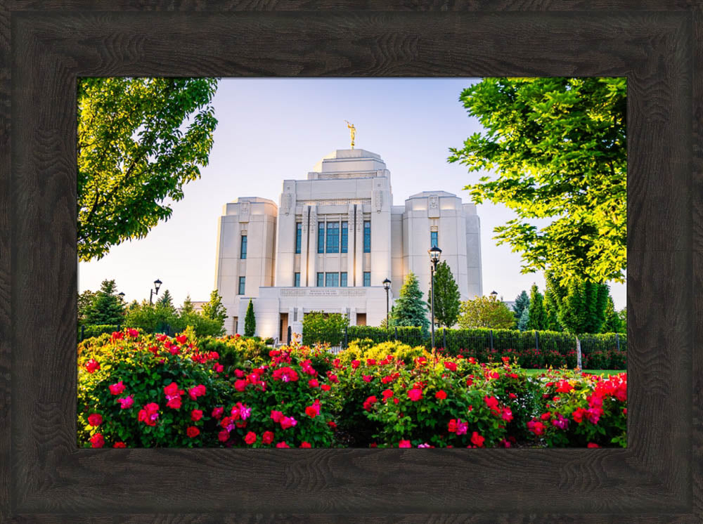 Meridian Temple - Flowers
