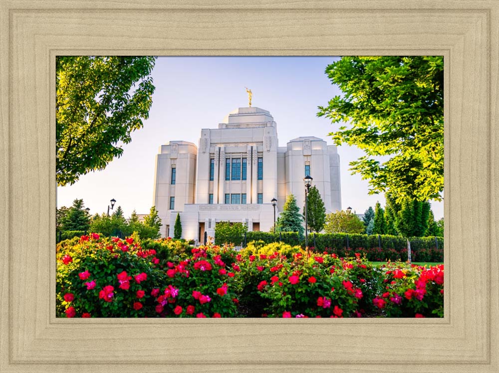 Meridian Temple - Flowers