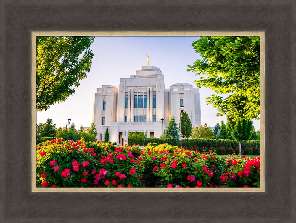 Meridian Temple - Flowers