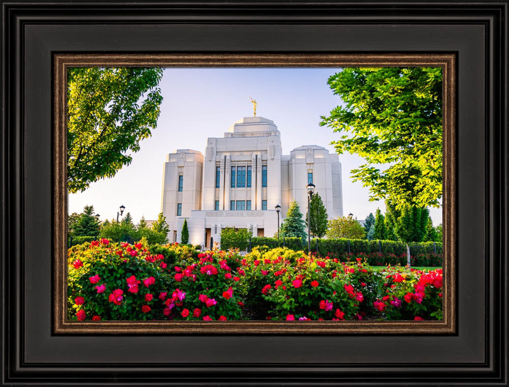 Meridian Temple - Flowers