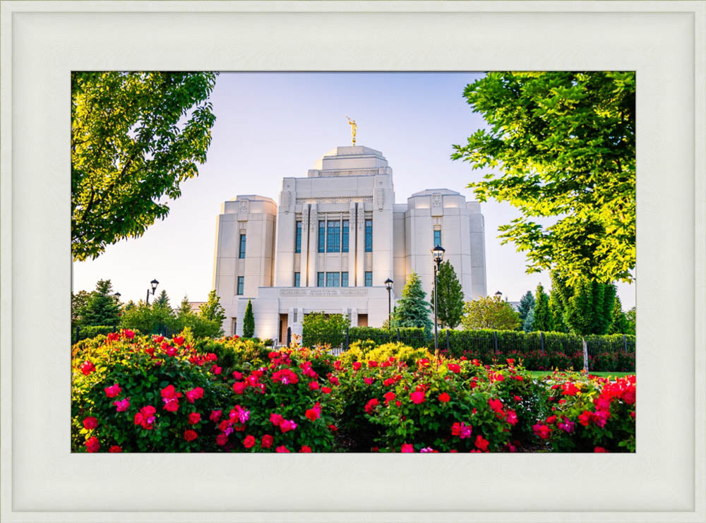 Meridian Temple - Flowers