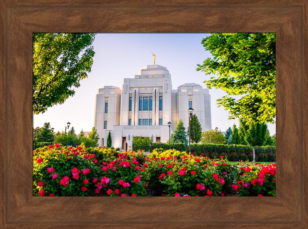 Meridian Temple - Flowers