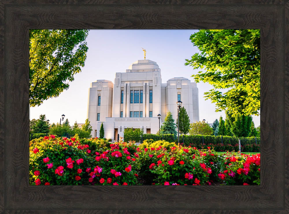 Meridian Temple - Flowers