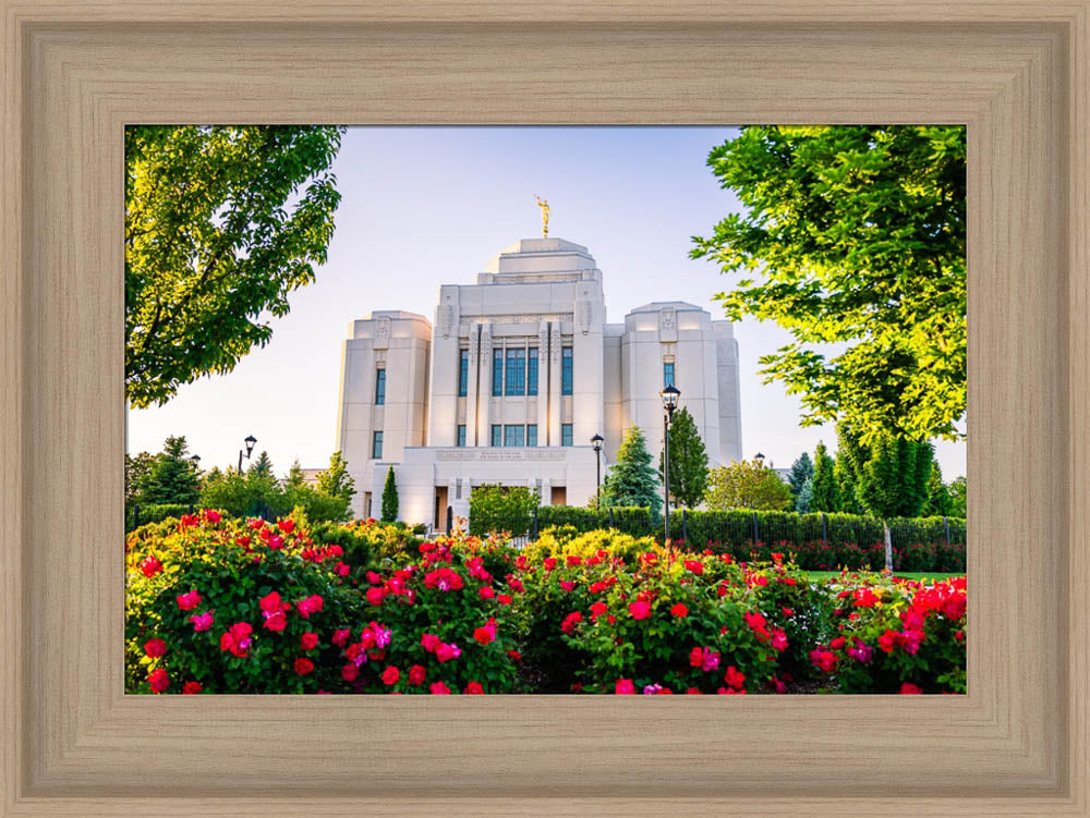 Meridian Temple - Flowers