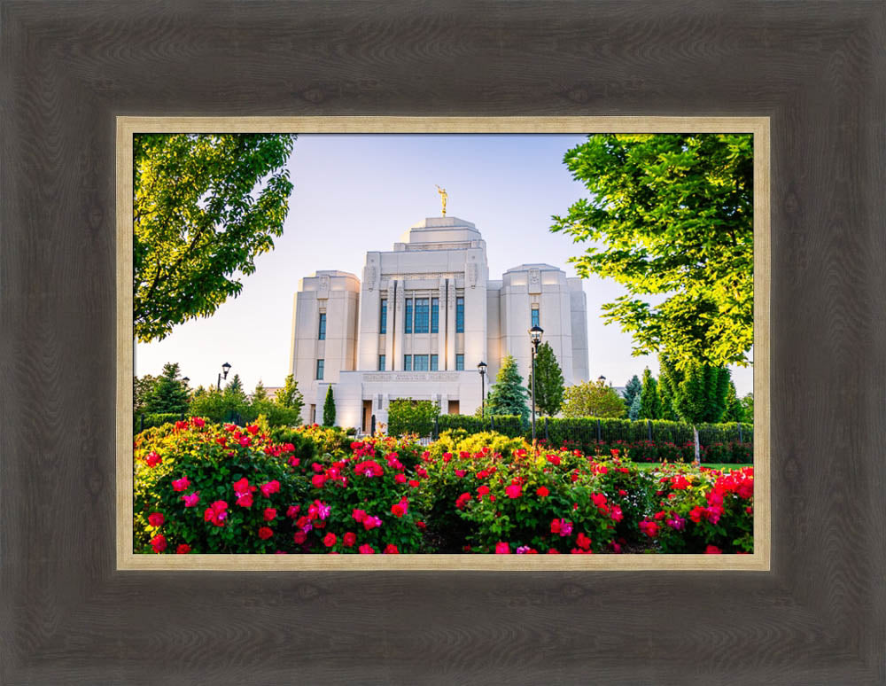 Meridian Temple - Flowers