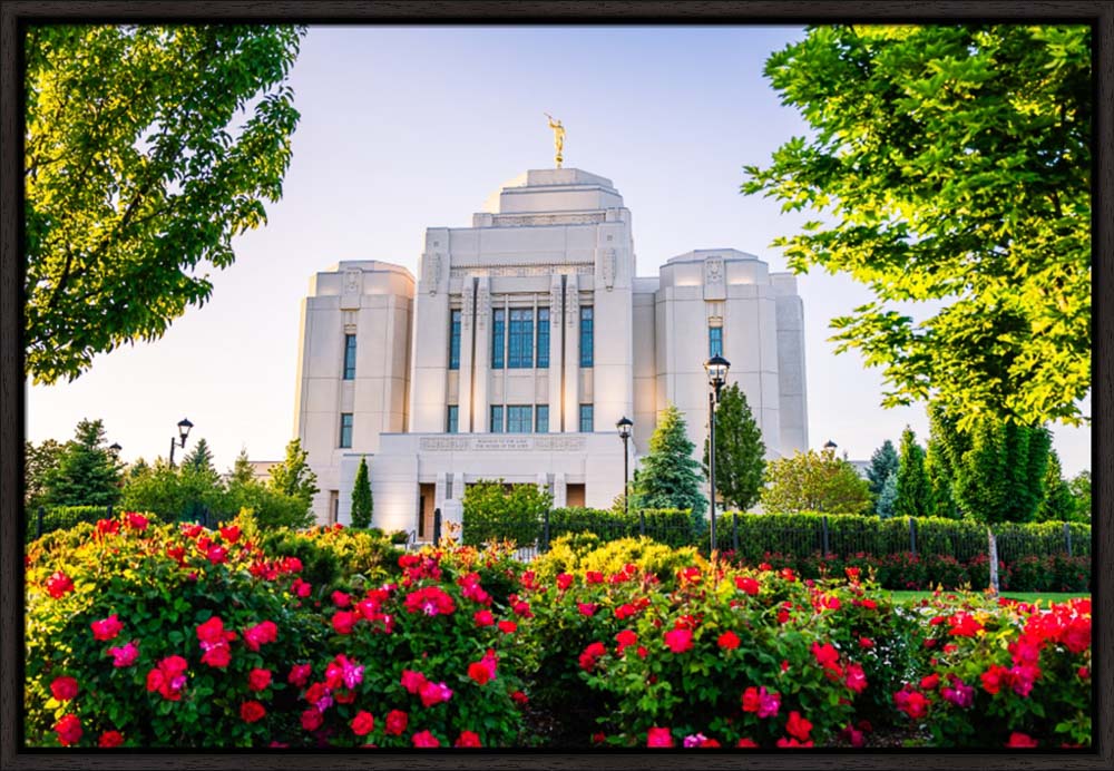 Meridian Temple - Flowers