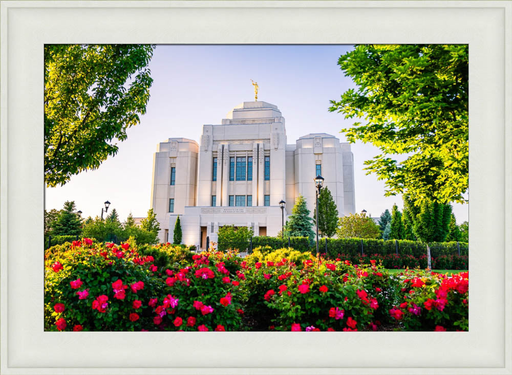 Meridian Temple - Flowers