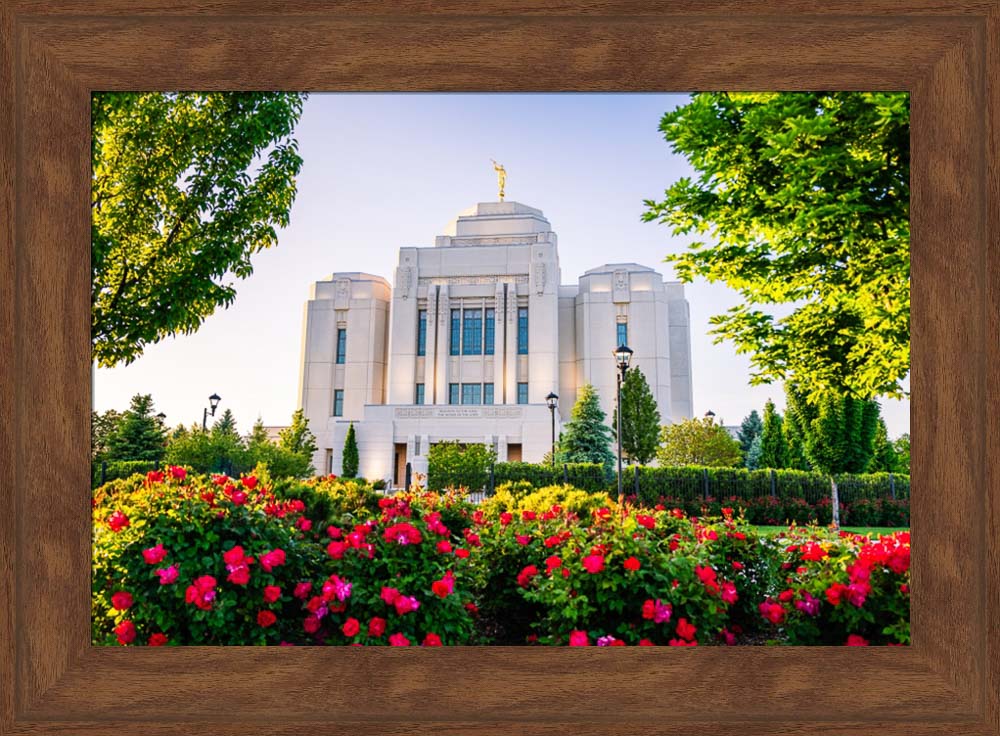 Meridian Temple - Flowers