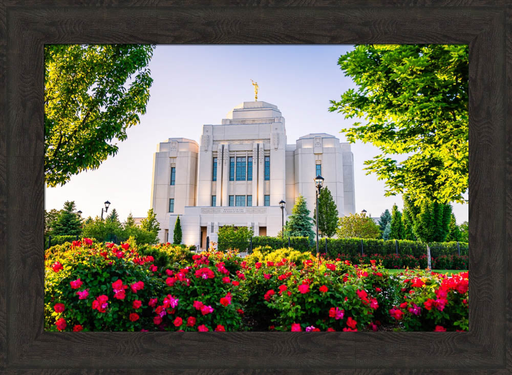 Meridian Temple - Flowers
