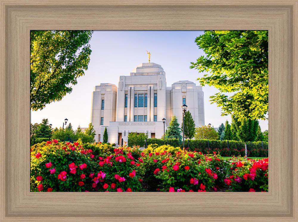 Meridian Temple - Flowers