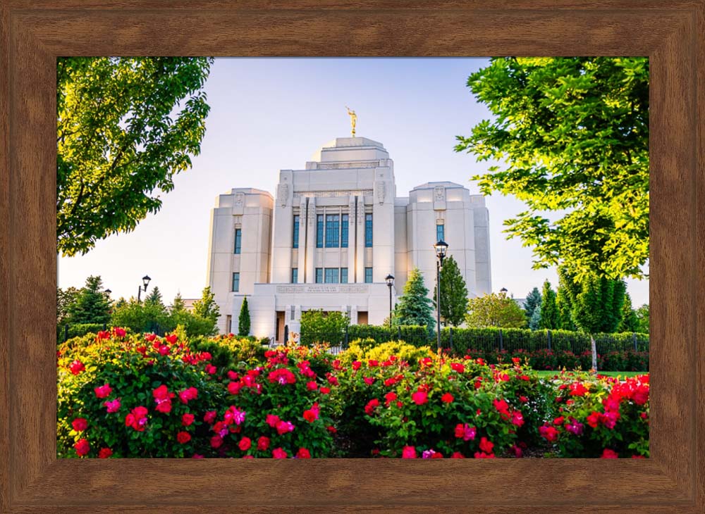 Meridian Temple - Flowers