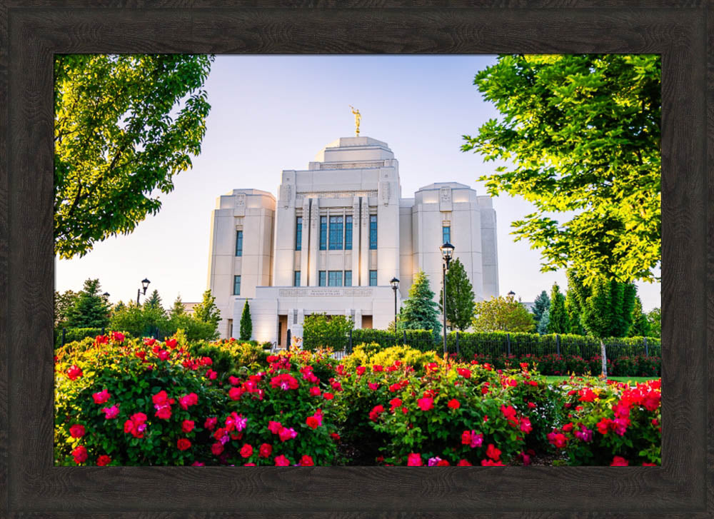 Meridian Temple - Flowers