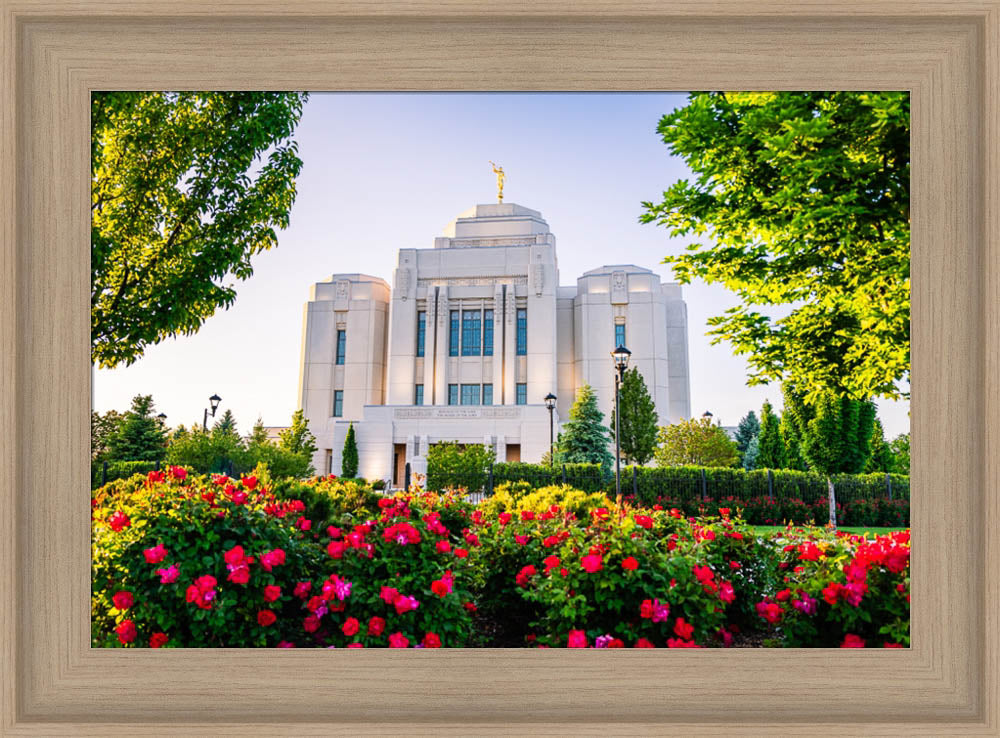 Meridian Temple - Flowers