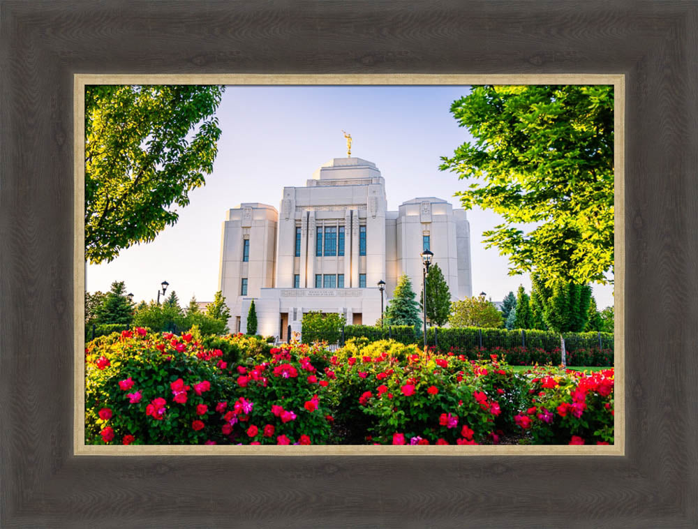 Meridian Temple - Flowers