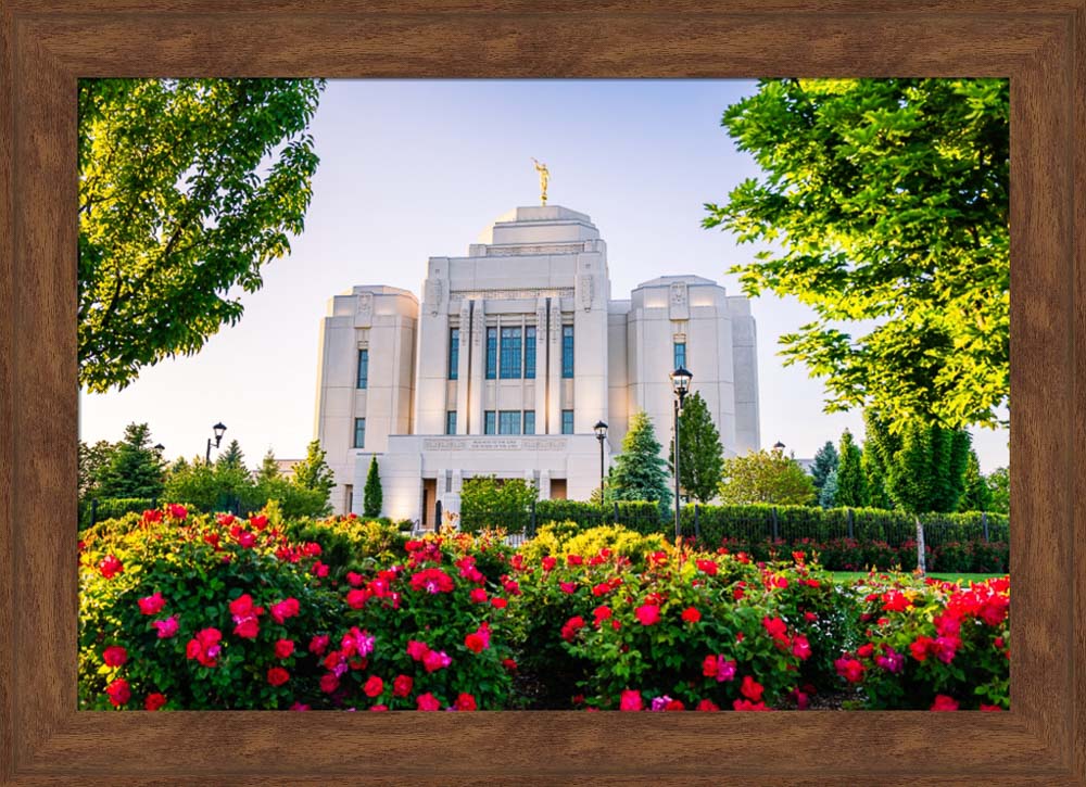 Meridian Temple - Flowers
