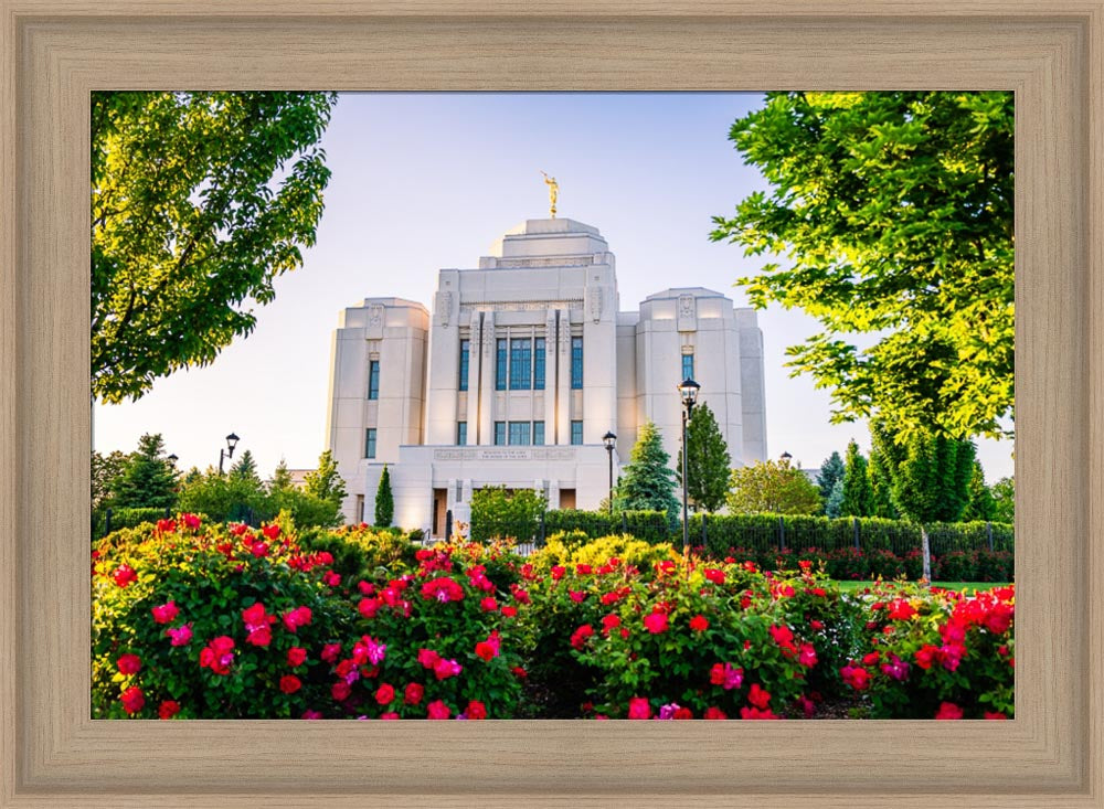 Meridian Temple - Flowers
