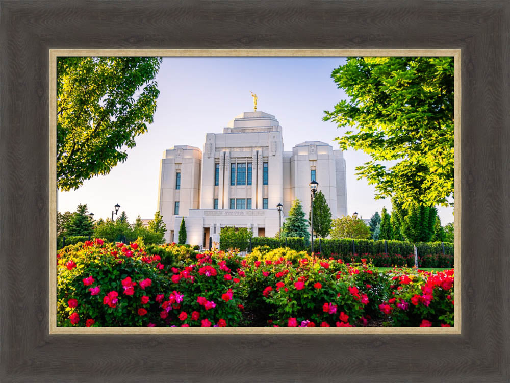 Meridian Temple - Flowers