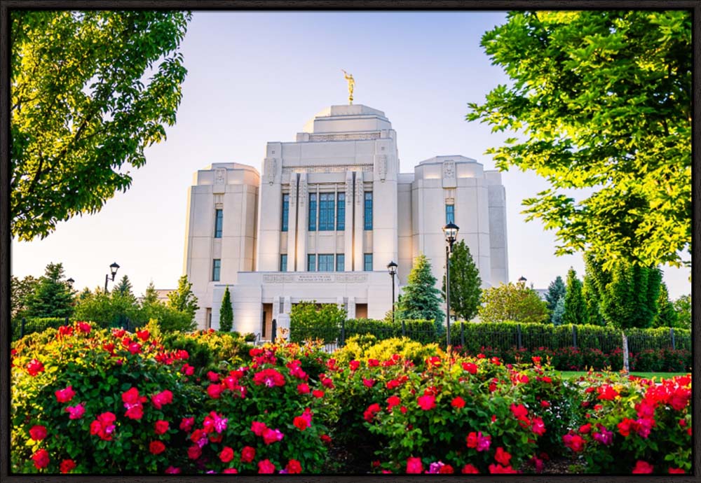 Meridian Temple - Flowers