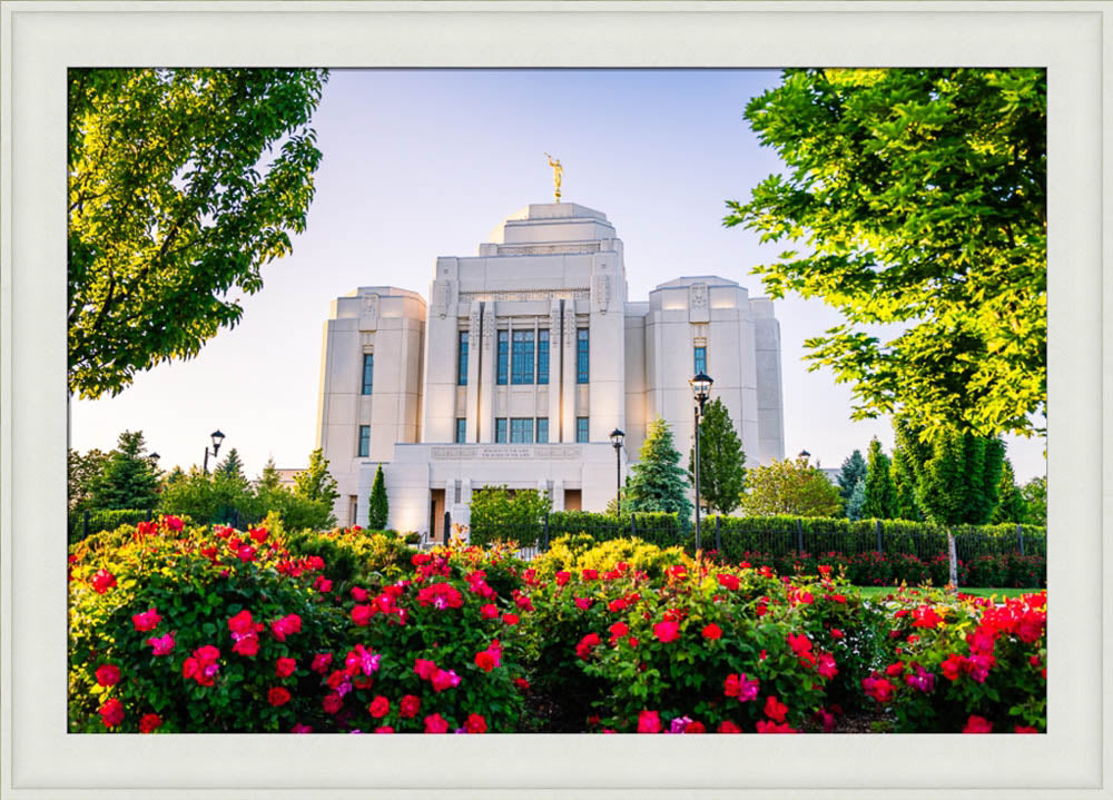 Meridian Temple - Flowers