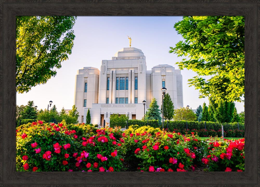 Meridian Temple - Flowers