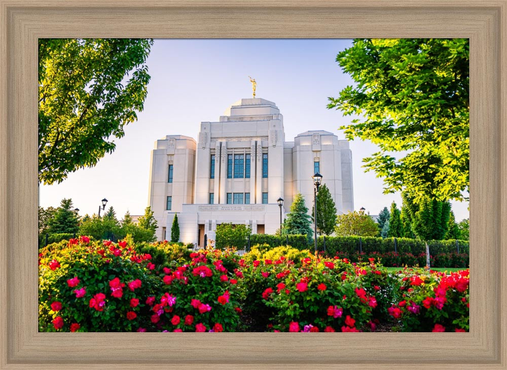 Meridian Temple - Flowers