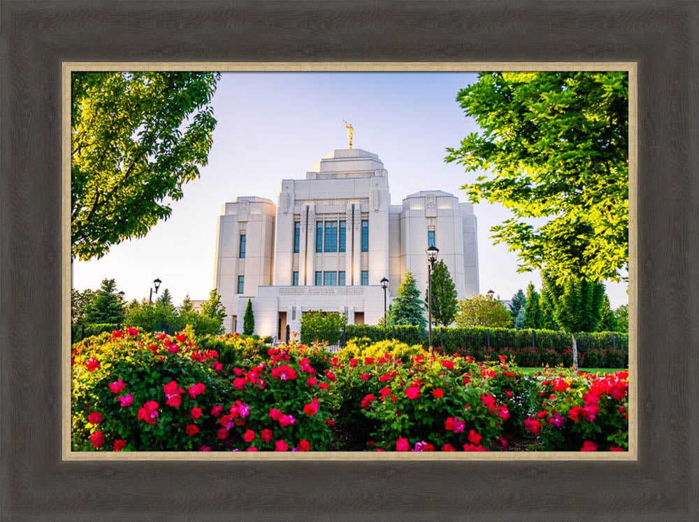 Meridian Temple - Flowers
