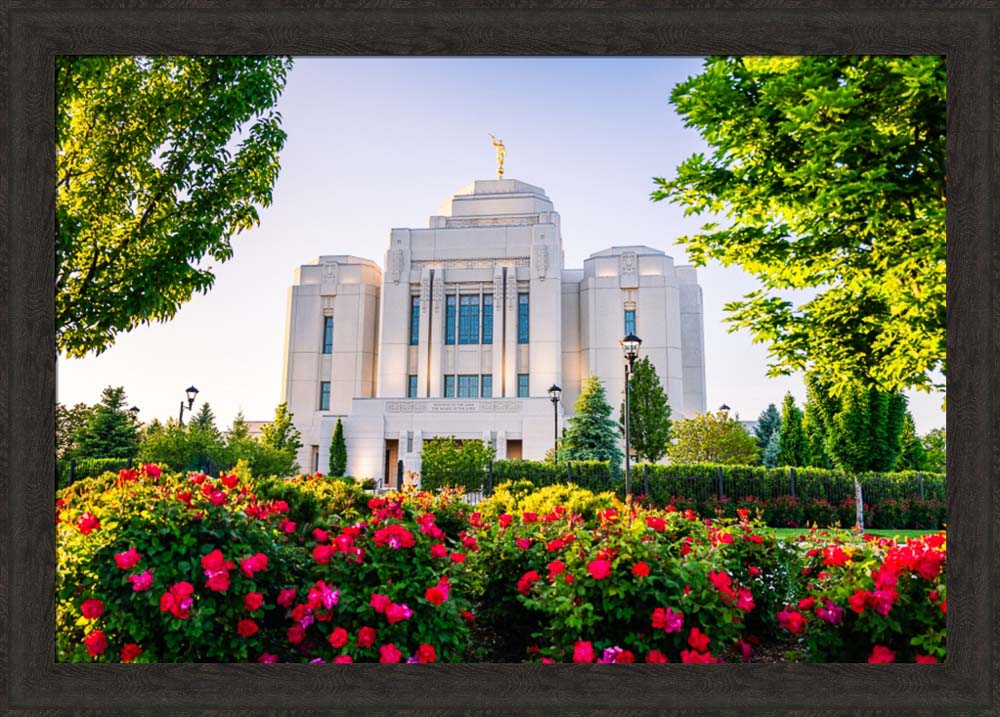 Meridian Temple - Flowers