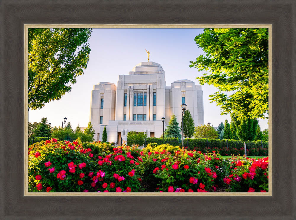 Meridian Temple - Flowers