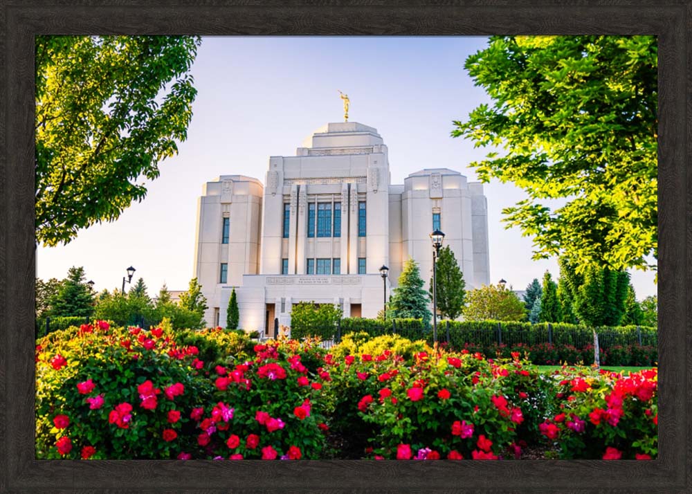 Meridian Temple - Flowers
