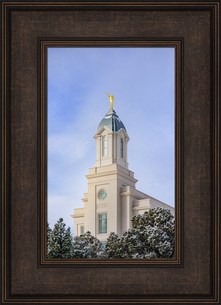 Cedar City Temple - Reaching up