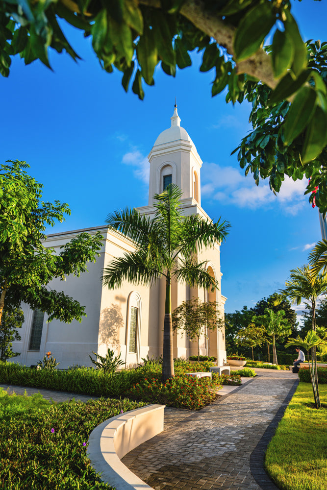 San Juan Puerto Rico Temple - Pathway