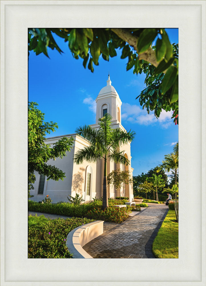 San Juan Puerto Rico Temple - Pathway