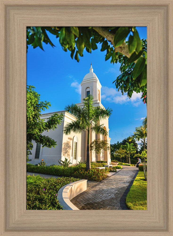 San Juan Puerto Rico Temple - Pathway