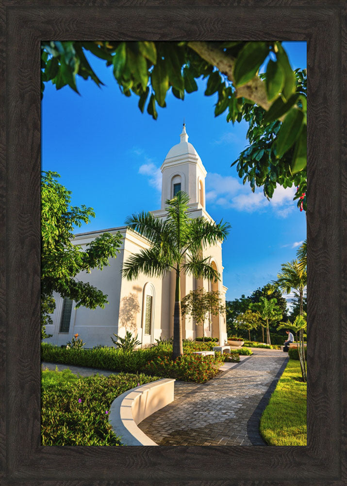 San Juan Puerto Rico Temple - Pathway