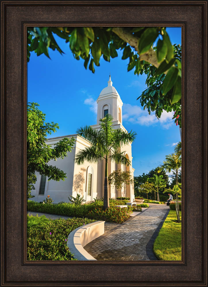 San Juan Puerto Rico Temple - Pathway