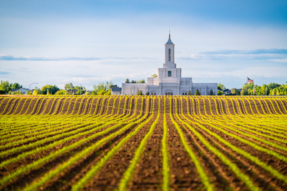 Moses Lake Temple - Seed of Faith