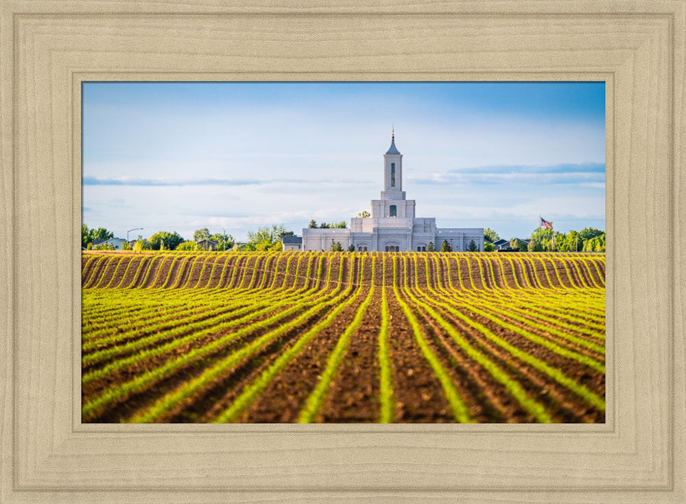 Moses Lake Temple - Seed of Faith