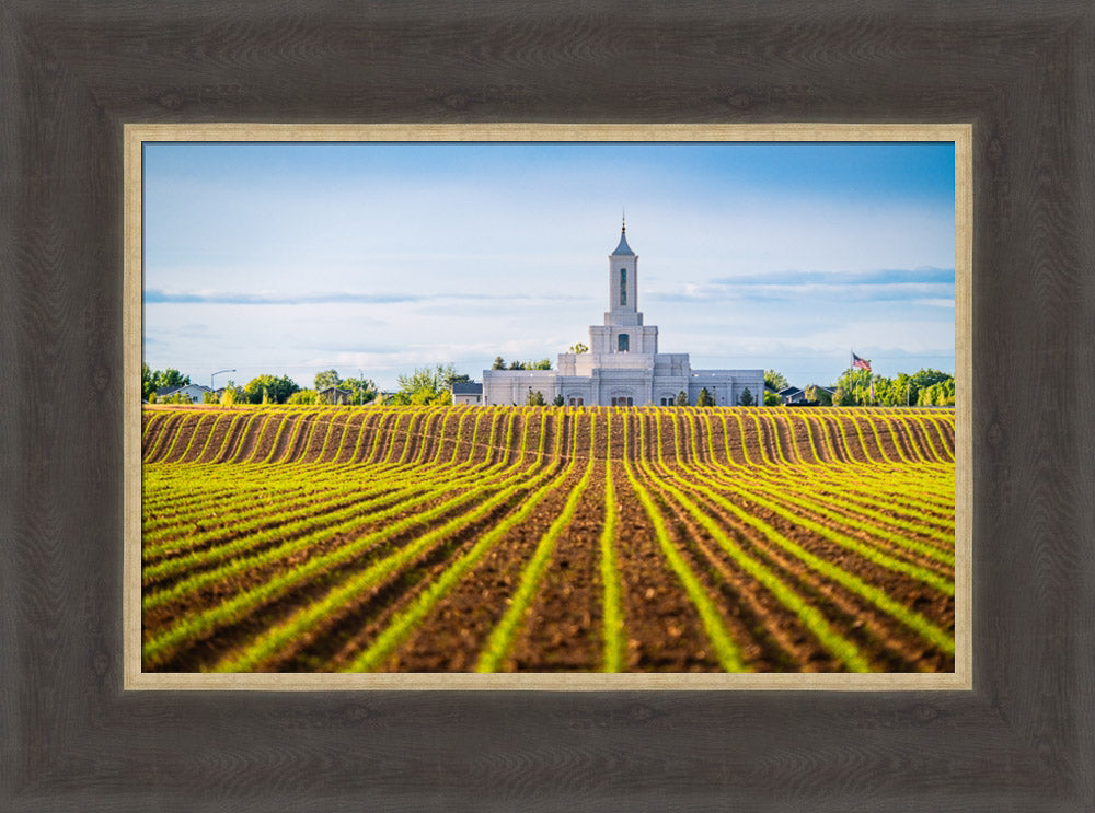 Moses Lake Temple - Seed of Faith