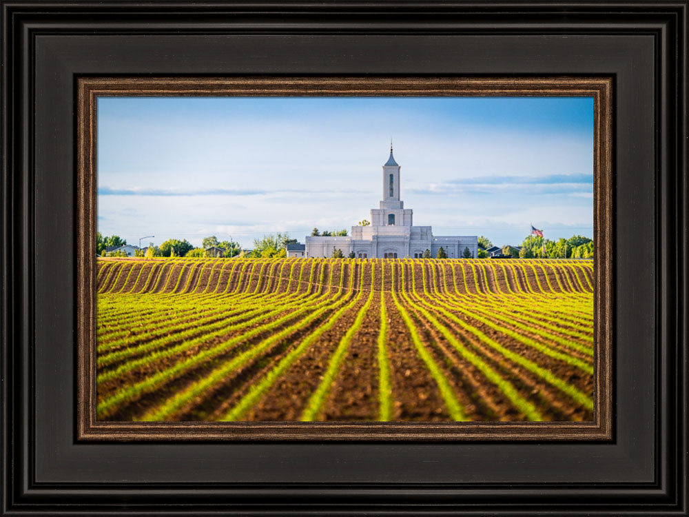 Moses Lake Temple - Seed of Faith