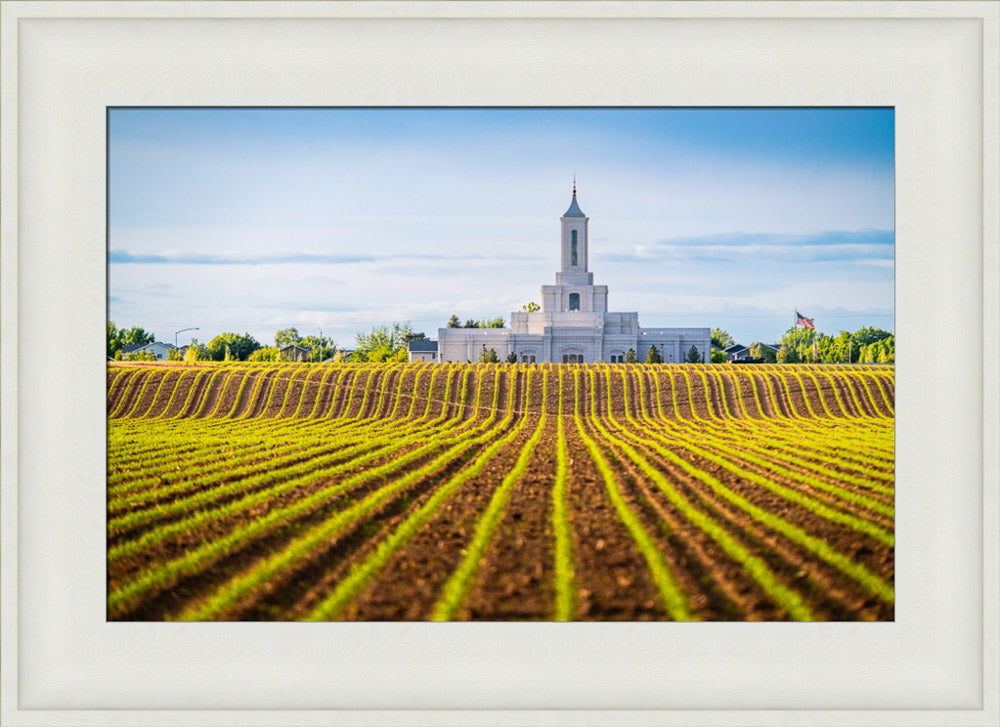 Moses Lake Temple - Seed of Faith