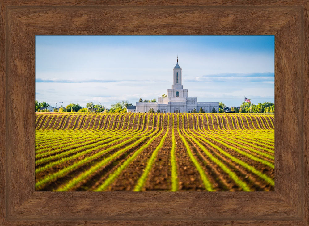 Moses Lake Temple - Seed of Faith