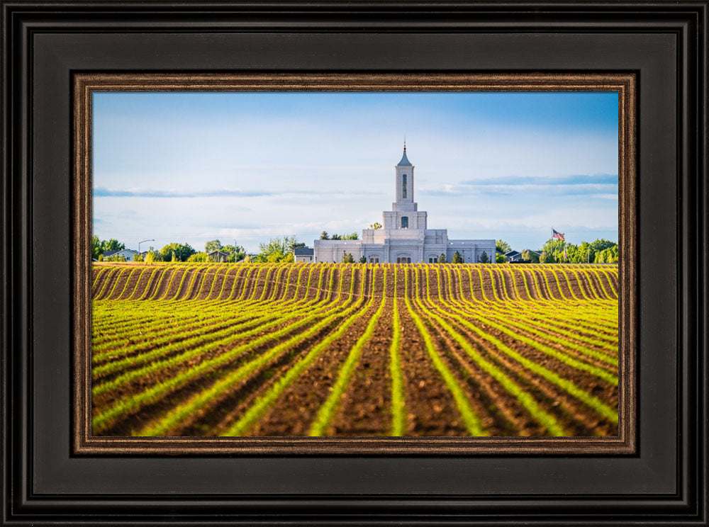 Moses Lake Temple - Seed of Faith